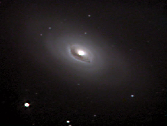 M64