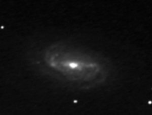 Ngc2903