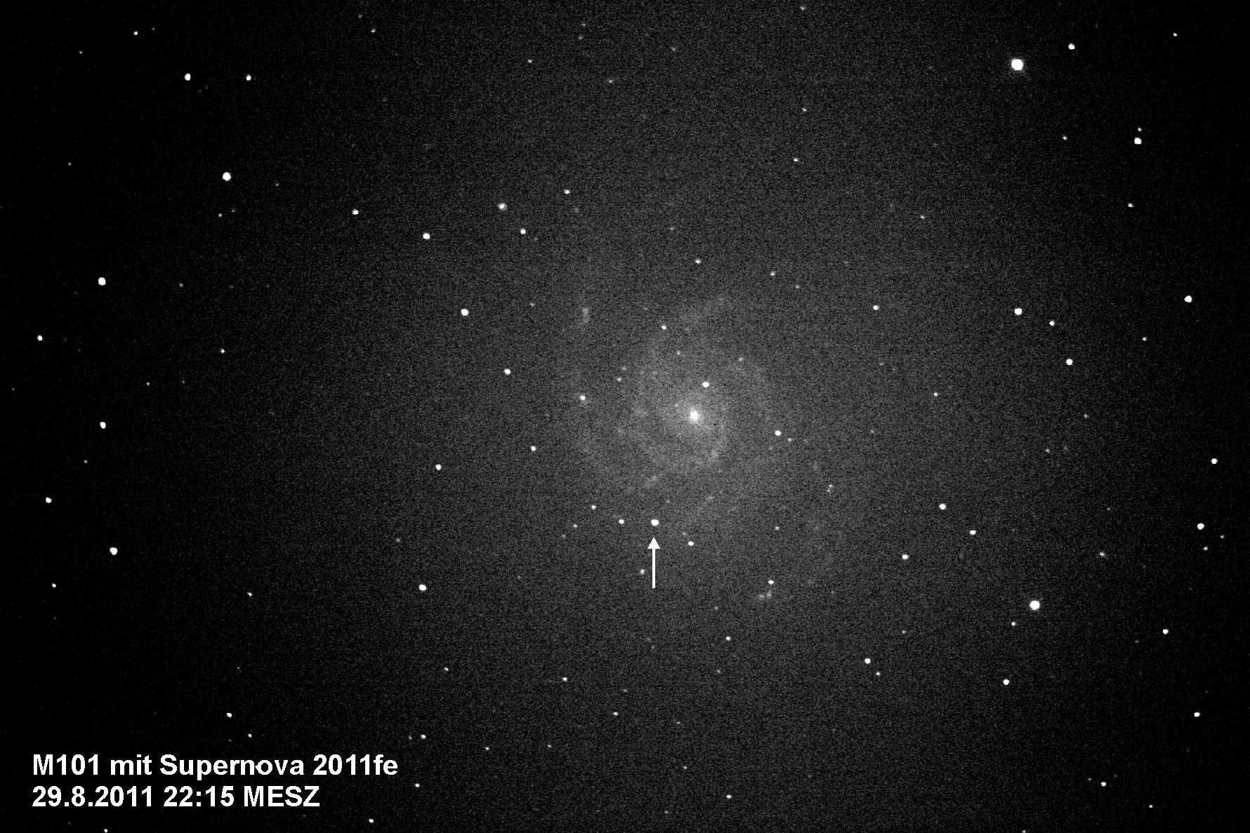 Supernova in M101