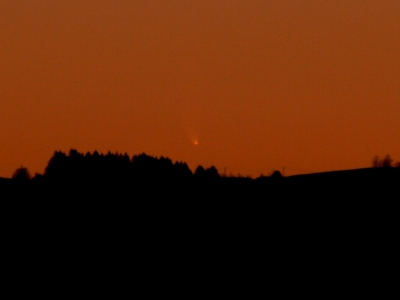 McNaught