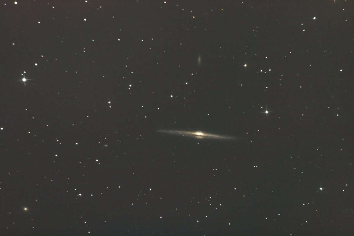 NGC 4565