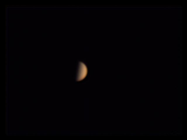 Venus halb