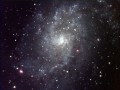 M33